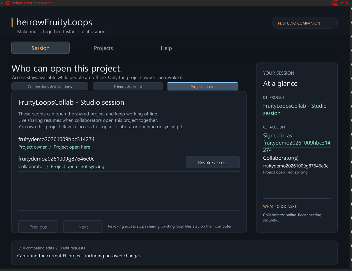 Project access view listing the owner and a collaborator who is not currently syncing.